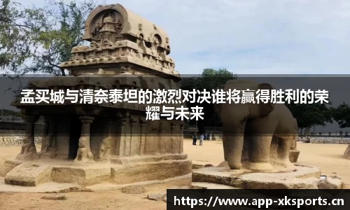 星空体育官网